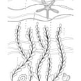 thumbnail image 2 of Kick Back & Relax Coloring Book, Flexibound, 2 of 5