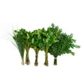 thumbnail image 1 of Member's Mark Western Greens Mix 5 bunches, 1 of 4