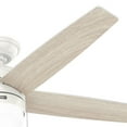 thumbnail image 4 of Hunter Bardot Ceiling Fan with LED Light Kit and Pull Chain, Assorted Sizes, 4 of 8