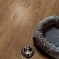 thumbnail image 2 of QuickStep by Mohawk Longview Chestnut Waterproof Laminate Flooring, 17.18 sq. ft. per box, 2 of 8