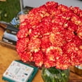 thumbnail image 4 of Member's Mark Carnations, Choose color and stem count, 4 of 5