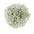 thumbnail image 1 of Member's Mark Pina Colada Limonium 60 stems, 1 of 5
