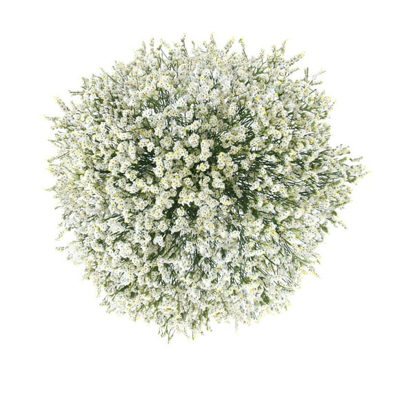 Member's Mark Pina Colada Limonium 60 stems