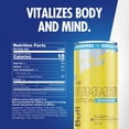 thumbnail image 2 of Red Bull Sugar Free Summer Edition 8.4 fl. oz., 24 pk., 2 of 9