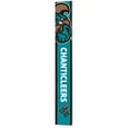 thumbnail image 1 of NCAA 8" x 60" Reversible Porch Greeter Sign, 1 of 5