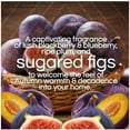 thumbnail image 2 of Air Wick Scented Oil Air Freshener,  Sugarplum & Winter Fig, 1 warmer + 6 refills, 2 of 7