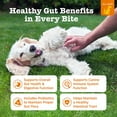 thumbnail image 4 of Zesty Paws Probiotic Bites, Pumpkin, 160 ct., 4 of 6