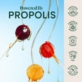 thumbnail image 3 of BeeKeeper's Naturals Kid's Propolis Throat Soothing Pops, 30 ct., 3 of 7