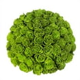 thumbnail image 1 of Member's Mark Farm Fresh Velvet Roses, choose color and stem count, 1 of 6