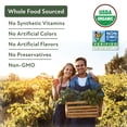 thumbnail image 4 of Member's Mark Organic Multivitamin Vegan Capsules, 120 ct., 4 of 6