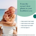 thumbnail image 4 of Youtheory Ocean Friendly Omega Softgels, 100 ct., 4 of 7