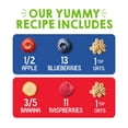 thumbnail image 4 of HappyBABY Organics Clearly Crafted Fruit & Oat Pouches, Variety Pack, 12 ct., 4 oz., 4 of 9