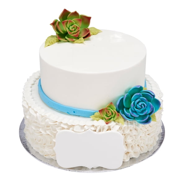 Member's Mark Succulents with Ruffles Two-Tier Cake