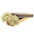 thumbnail image 5 of Member's Mark Chamomile Matricaria, choose stem count, 5 of 5