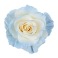 thumbnail image 2 of Member's Mark Illusion Roses, choose color and stem count:- 50, Light Blue, 2 of 8