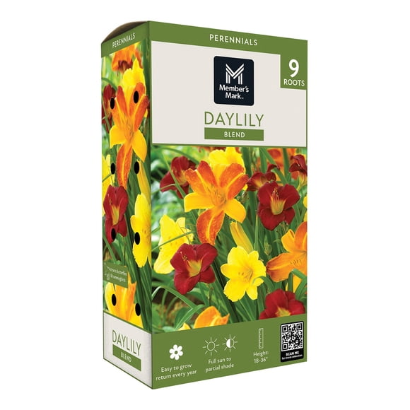 Member's Mark Daylily Blend Dormant Bulbs, 9pk