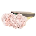 thumbnail image 6 of Member's Mark Color Enhanced Hydrangeas, 20 stems, choose color, 6 of 6