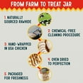 thumbnail image 10 of Canine Chews Chicken-Wrapped Rawhide Chews for Dogs, 125 ct., 10 of 10