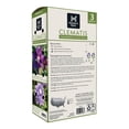 thumbnail image 2 of Member's Mark Clematis Vagabound & Multi Blue Dormant Bulbs, 3pk, 2 of 10
