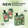 thumbnail image 8 of Herbal Essences Pure Plants Argan Oil & Green Tea Shampoo + Conditioner, 33.8 fl. Oz., 2 pk., 8 of 9