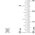 thumbnail image 6 of 0.72 CT. T.W. Princess Cut Solitaire Diamond Stud Earrings in 14K Gold, 6 of 8