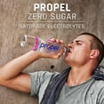 thumbnail image 6 of Propel Zero Water Variety Pack 16.9 fl. oz., 24 pk., 6 of 8