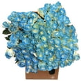 thumbnail image 3 of Member's Mark Illusion Roses, 96 stems, Choose color variety, 3 of 7