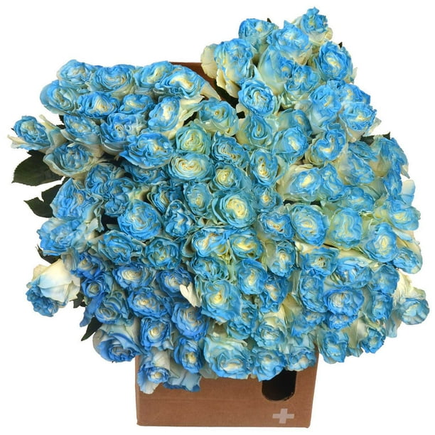 Member's Mark Illusion Roses, 96 stems, Choose color variety