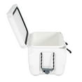 thumbnail image 8 of Lifetime 65-Quart High Performance Cooler, Choose Color, 8 of 10