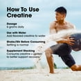 thumbnail image 7 of Optimum Nutrition, Micronized Creatine, Blueberry Lemonade, 1.78 lbs., 7 of 8