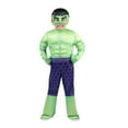thumbnail image 1 of Marvel Incredible Hulk Toddler Deluxe Costume, 1 of 11