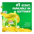 thumbnail image 5 of Gain Liquid Fabric Softener, Original Scent, 244 loads, 143 fl. oz., 5 of 9