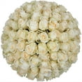 thumbnail image 1 of Member's Mark Roses, choose color variety and stem count, 1 of 7