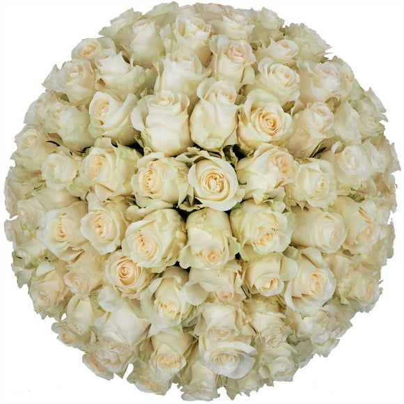 Member's Mark Roses, choose color variety and stem count