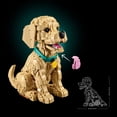 thumbnail image 5 of LEGO  Golden Retriever Puppy 11384, 5 of 7