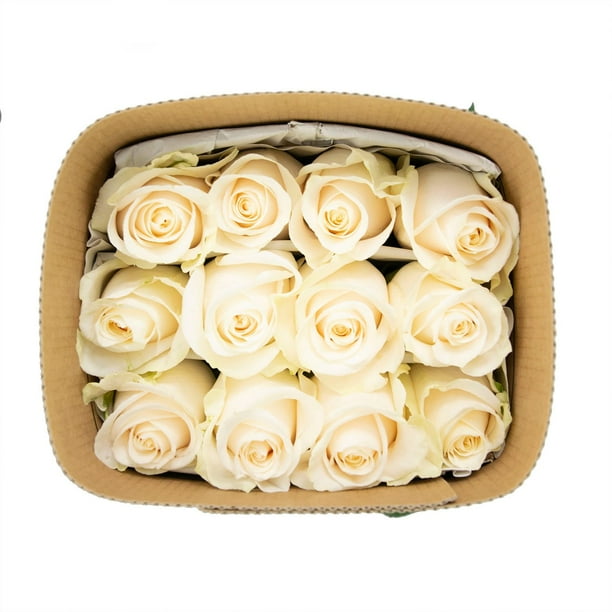 Member's Mark Ecuadorian Premium Roses, choose color variety and stem count