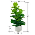 thumbnail image 5 of Faux 5' Deluxe Fig Floor Plant in White Ceramic Pot, 5 of 5