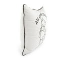 thumbnail image 3 of Licensed Decorative Pillow, 20" x 20", 3 of 7