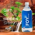 thumbnail image 7 of FOY Springs Naturally Alkaline Bottled Spring Water, 1 L, 12 pk., 7 of 8
