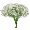 thumbnail image 2 of Member's Mark White Gypsophila, choose stem count, 2 of 6