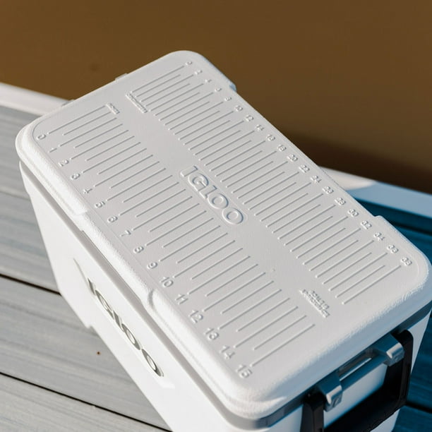 Igloo 25 QT Marine Ultra Ice Chest Cooler, White and Gray