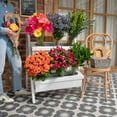 thumbnail image 3 of Member's Mark DIY Floral Bouquet Bar, 144 stems, choose variety, 3 of 7