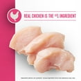 thumbnail image 4 of Member's Mark™ Sensitive Stomach Small Breed Chicken + Oatmeal Recipe Dry Dog Food, 25lbs., 4 of 6