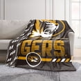 thumbnail image 2 of Logo Brands Missouri Tigers 60"x70" Super Plush Blanket, 2 of 7