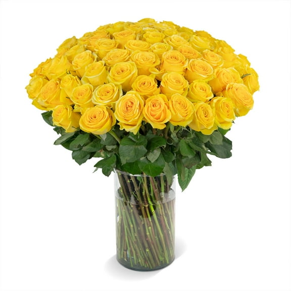 Member's Mark Rose Vase Arrangement, 100 stems, choose color