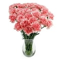 thumbnail image 5 of Member's Mark Carnations, Choose color and stem count, 5 of 7