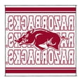 thumbnail image 3 of Logo Brands Arkansas Razorbacks 106"x106" Rally Mat, 3 of 8