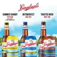 thumbnail image 5 of Leinenkugel's Craft Ale and Lager Beer Variety Pack, 12 fl. oz. can, 12 pk., 5 of 5