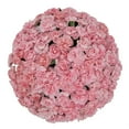 thumbnail image 1 of Member's Mark Mini Carnations, Choose color and stem count, 1 of 5