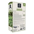 thumbnail image 2 of Member's Mark Hosta Albomarginata Dormant Bulbs, 8pk, 2 of 9
